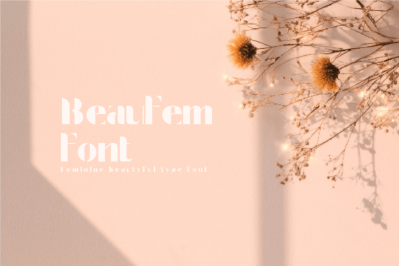 Beaufem: The Soft Typeface That Transformed My Brand Identity