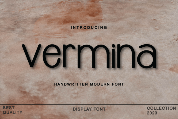 Vermina: The Modern Typeface That Elevates Small Business Branding