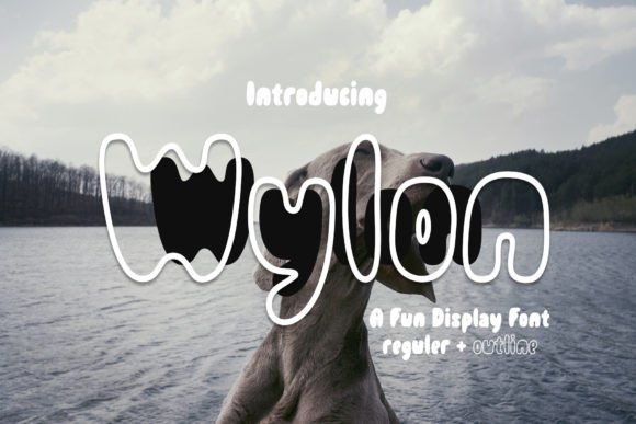 Wylon: The Cheerful Display Typeface That Elevates Campaign Visuals
